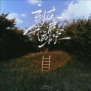 猫咪免费人成网站在线观看入口
