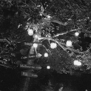 猫咪免费人成网站在线观看入口
