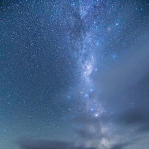 猫咪免费人成网站在线观看入口
