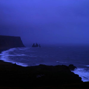 猫咪免费人成网站在线观看入口
