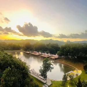 猫咪免费人成网站在线观看入口
