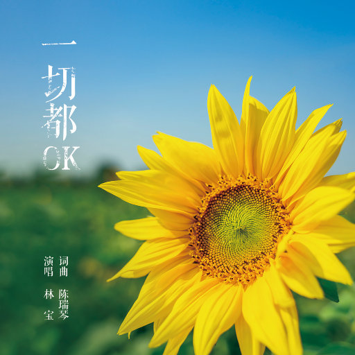 猫咪免费人成网站在线观看入口
